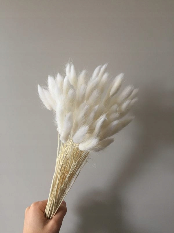 Dirbtinė puokštė "Lagurus"