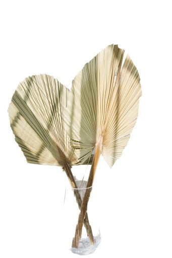 Dekoratyvinių palmių lapų komplektas (3 vnt)