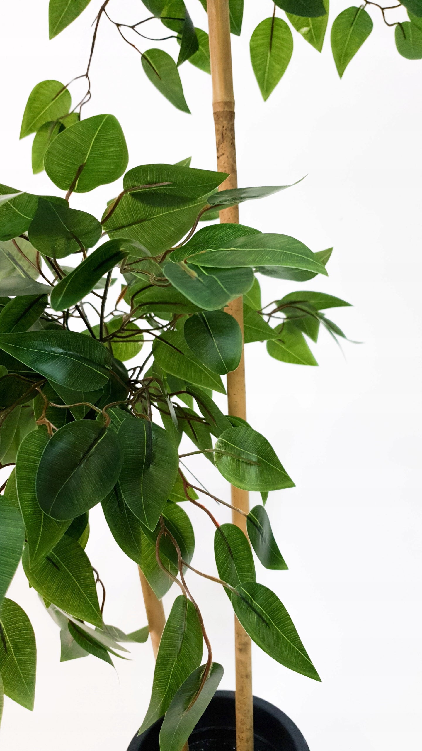 Dirbtinis fikusas su vazonėliu