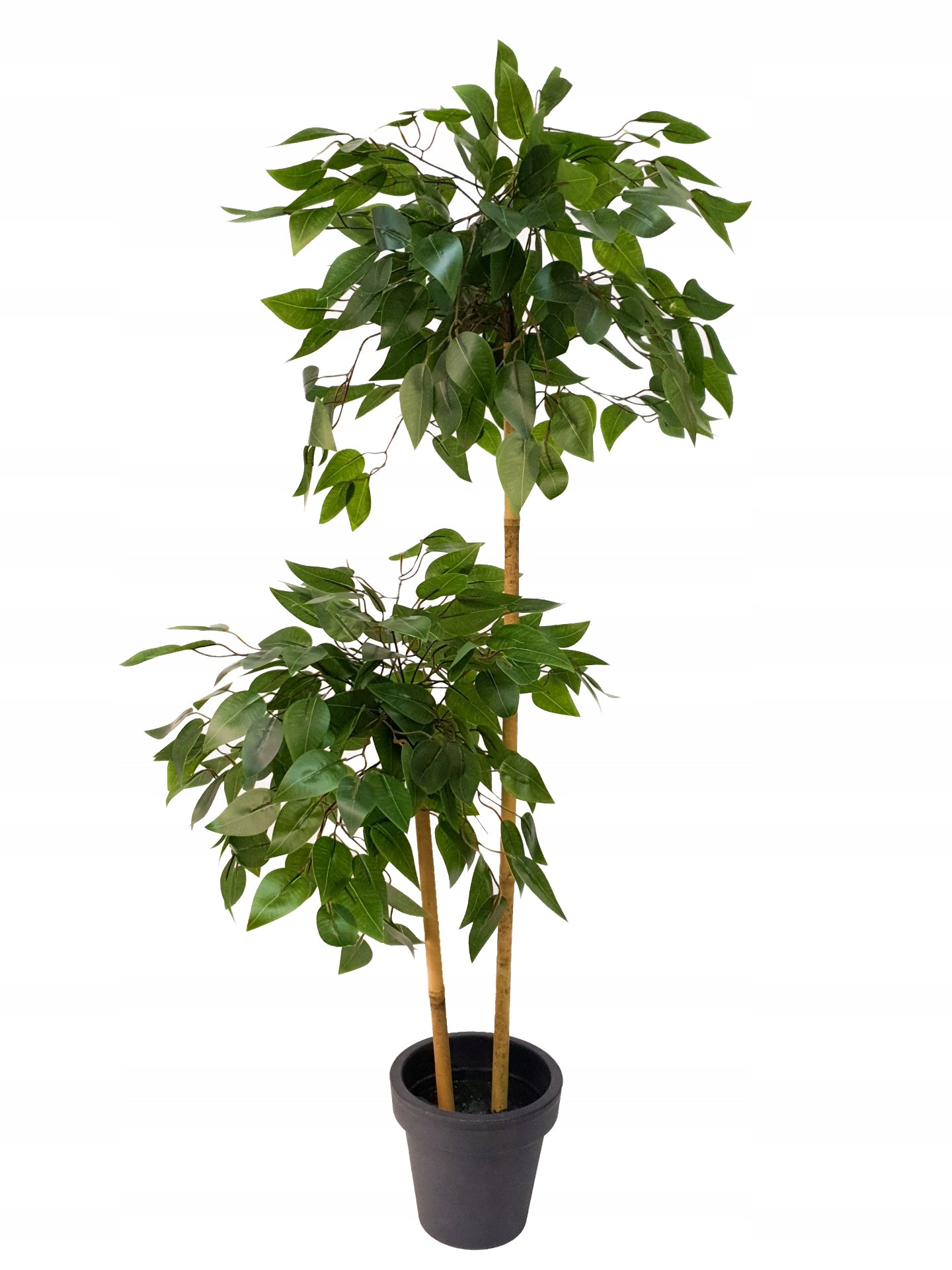 Dirbtinis fikusas su vazonėliu