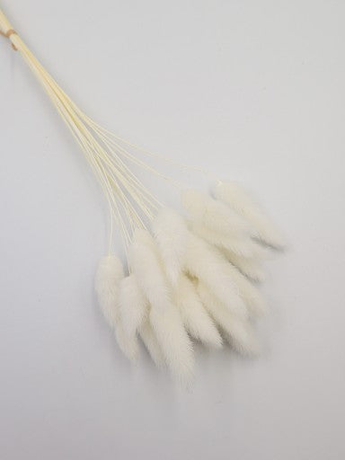 Dirbtinė puokštė "Lagurus"