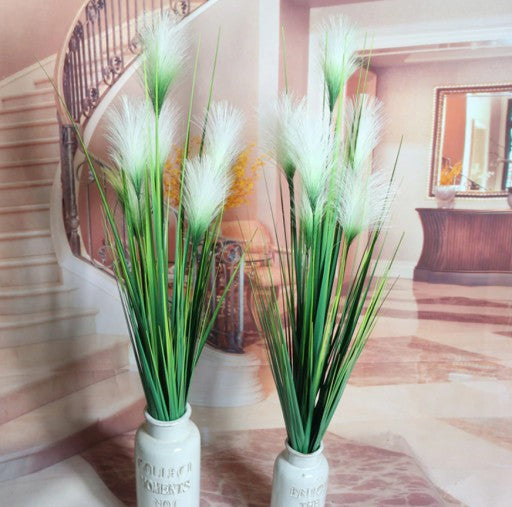 Pampų žolės puokštė su 5 žiedynais