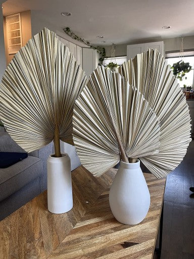 Dekoratyvinių palmių lapų komplektas (3 vnt)