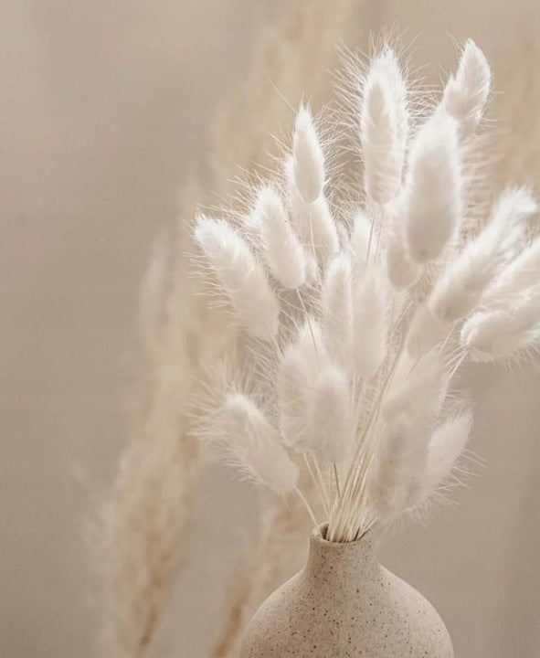 Dirbtinė puokštė "Lagurus"