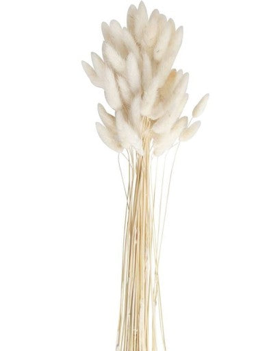 Dirbtinė puokštė "Lagurus"