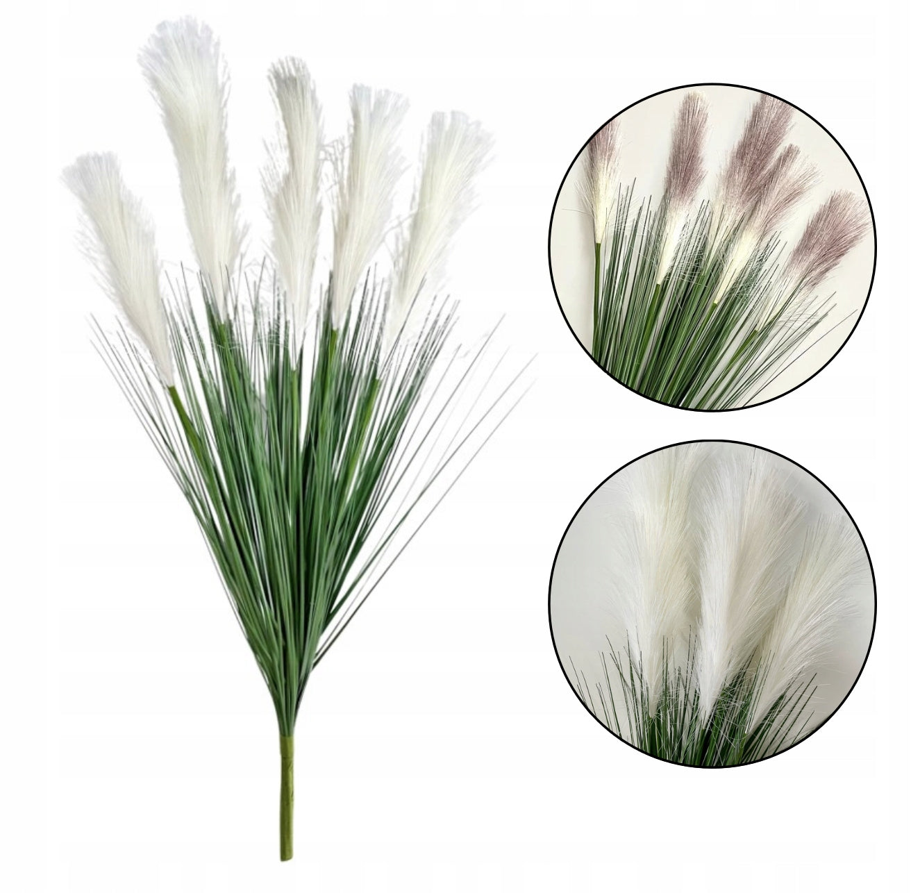 Pampų žolės puokštė su 5 žiedynais