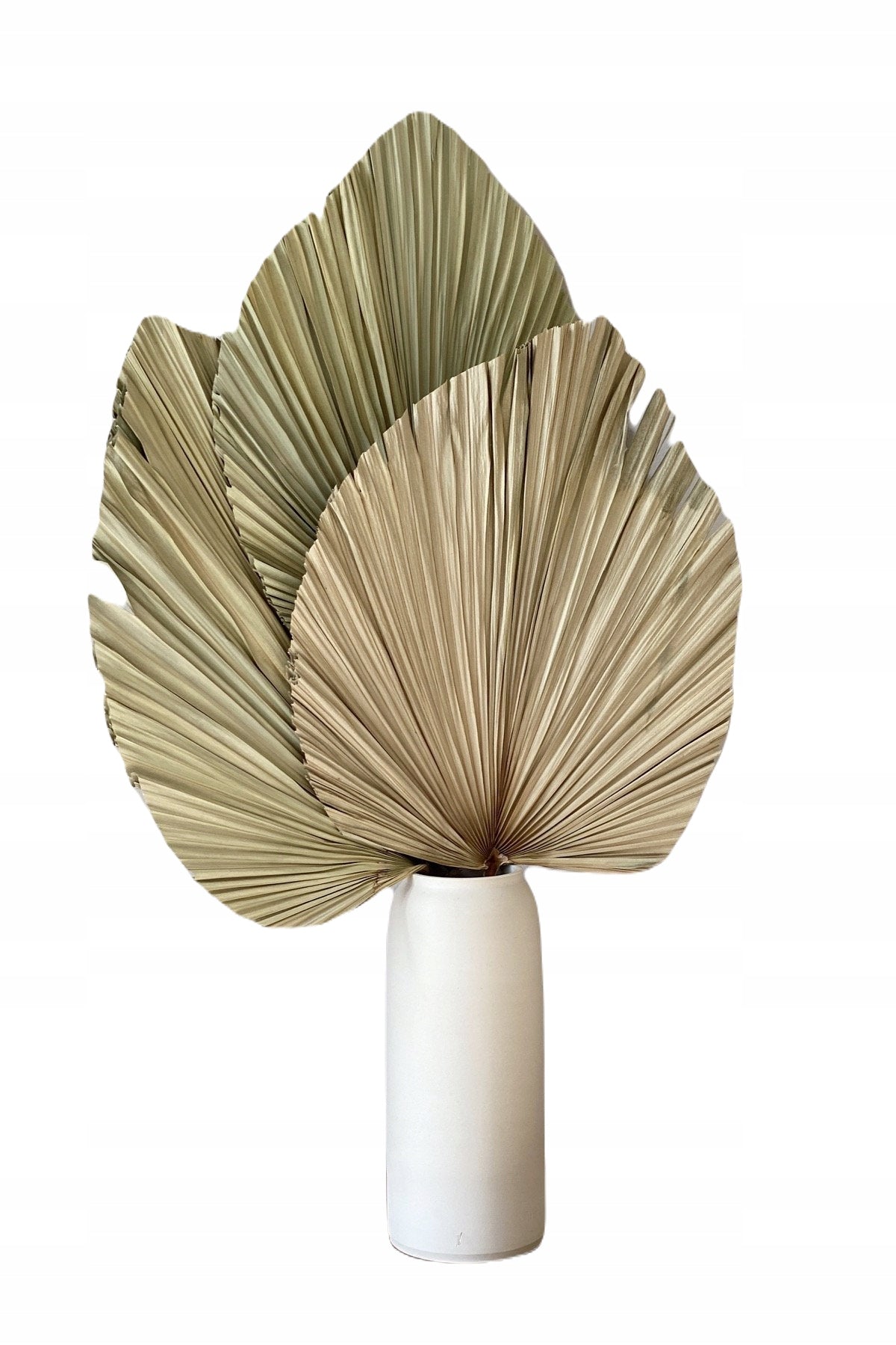 Dekoratyvinių palmių lapų komplektas (3 vnt)